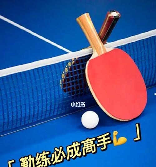 乒乓球初学者技巧大全（提高你的乒乓球水平，享受乒乓球的乐趣）