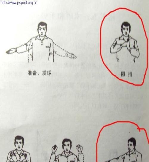 乒乓球基本动作要领（掌握乒乓球基本动作，提升球技水平）