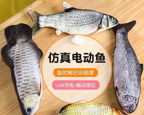 儿童游泳捞鱼技巧教学（让孩子学会游泳捞鱼，增强安全意识与动手能力）
