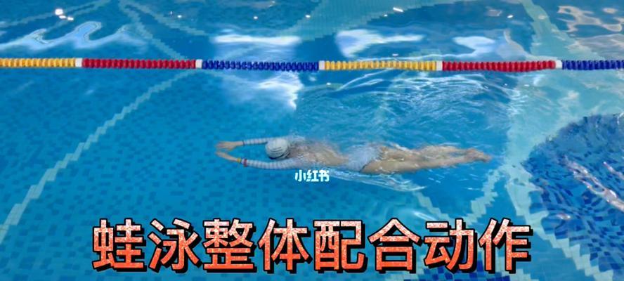 学会蛙泳游泳的蹬腿技巧（提高游泳效果和速度的蛙泳蹬腿教学方法）