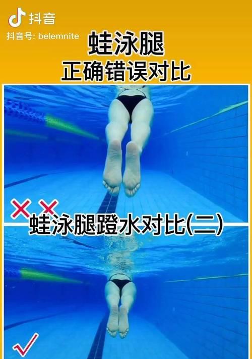 游泳初学技巧蛙泳教学教案（从零基础到蛙泳高手，轻松学会蛙泳的秘诀！）