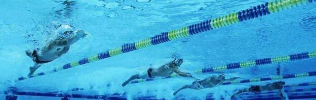 学习游泳的关键技巧（掌握游泳姿势、呼吸技巧和水中平衡是成功游泳的关键）