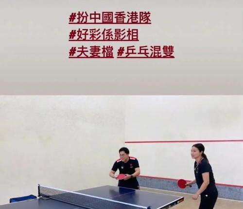 乒乓球（探索乒乓球的魅力，了解其历史和技术）