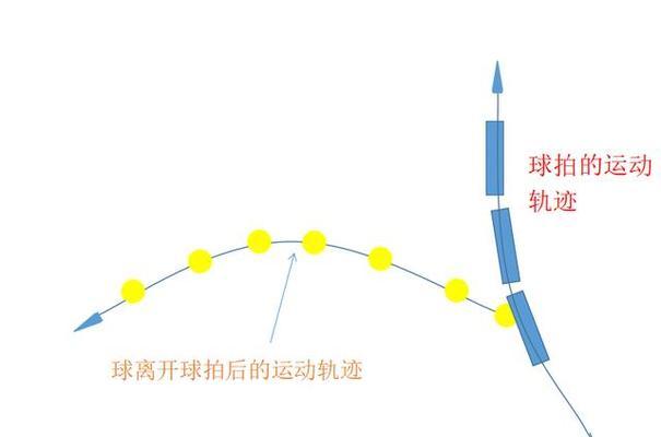 乒乓球基本技术全解析（掌握这些技巧，让你成为乒乓球高手）