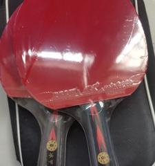 乒乓球的魅力与评级（探讨乒乓球评级体系的标准与重要性）