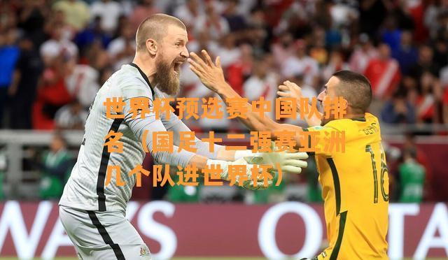 中国历史首次进入世界杯八强！（足球传奇之路，中国再创辉煌）