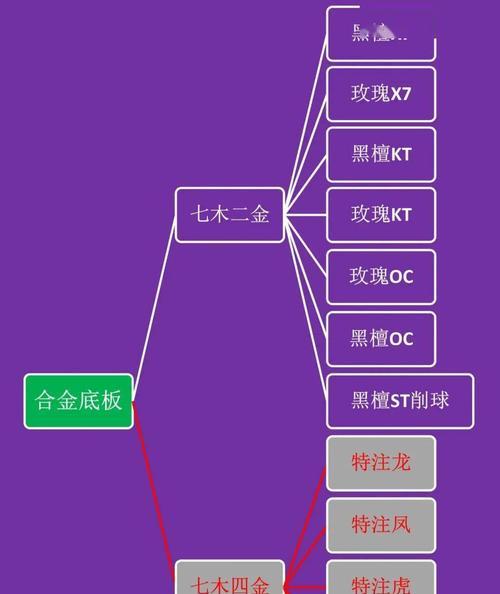 国际乒乓球分类标准的意义与应用（促进乒乓球运动发展的关键标准及其影响力）