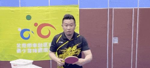 如何帮助乒乓球新手快速进步（掌握关键技巧，成为乒乓球高手）