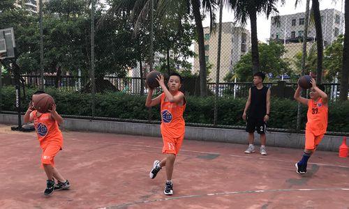 篮球防守技巧（探讨篮球防守中脚尖先落地的重要性以及相关技巧）