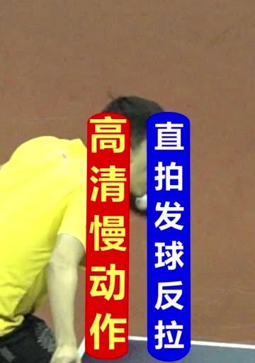 乒乓球直拍控制技巧教学（掌握直拍，提升乒乓球控球水平）