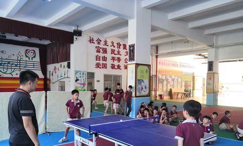 乒乓球小学生抓拍技巧（掌握关键动作和提高击球准确率的技巧）