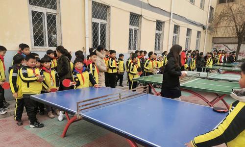 小学生乒乓球练习技巧（提高技术水平，享受乒乓球的乐趣）