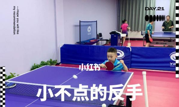 掌握横排乒乓球发奔球技巧，提升比赛实力（乒乓球横拉发奔球的技术要点及训练方法）