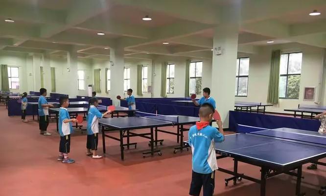 乒乓球步伐阶梯训练(发掘潜力,锻炼身体,成为优秀乒乓球运动员)