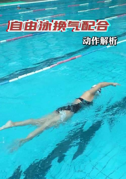 游泳前的必备技巧(掌握游泳前的技巧,享受安全畅快的游泳乐趣)