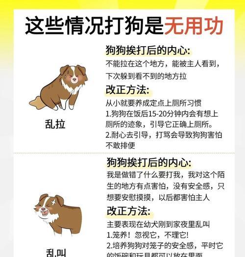 如何训练狗子游泳技巧？（从水中游泳到水中娱乐，掌握这些技巧让你的狗狗成为游泳高手！）